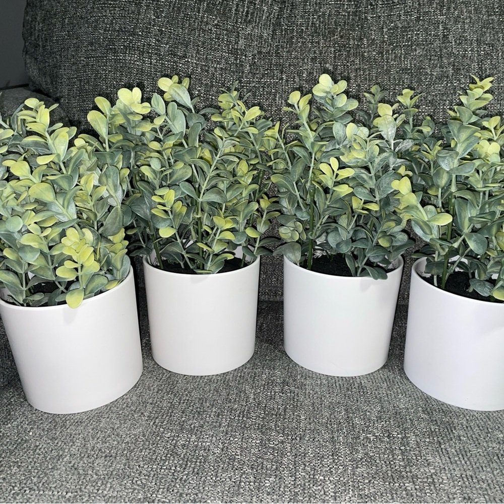 Threshold Potted Faux Boxwood Plant 4”  NEW Mixed Green Leaves - Set Of 4